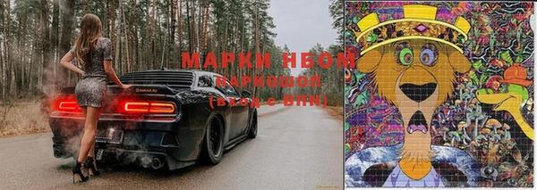 сатива Мегион