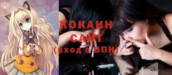 сатива Мегион