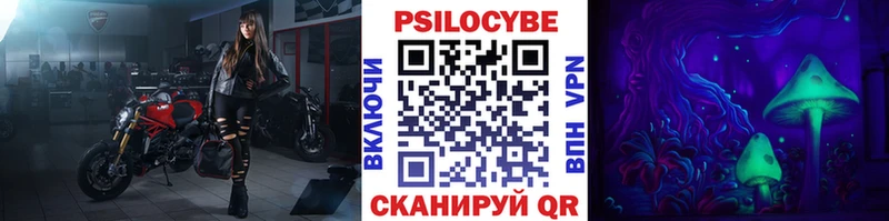 Купить где  Нижнекамск  Галлюциногенные грибы Cubensis 