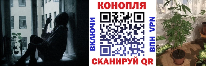 Бошки Шишки семена  Купить  Нижнекамск